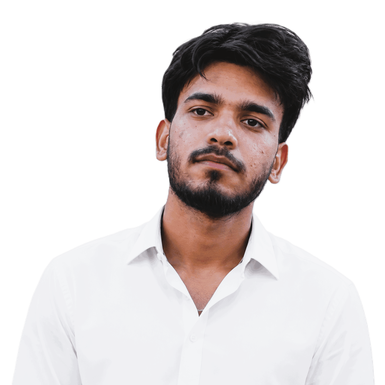 Developer